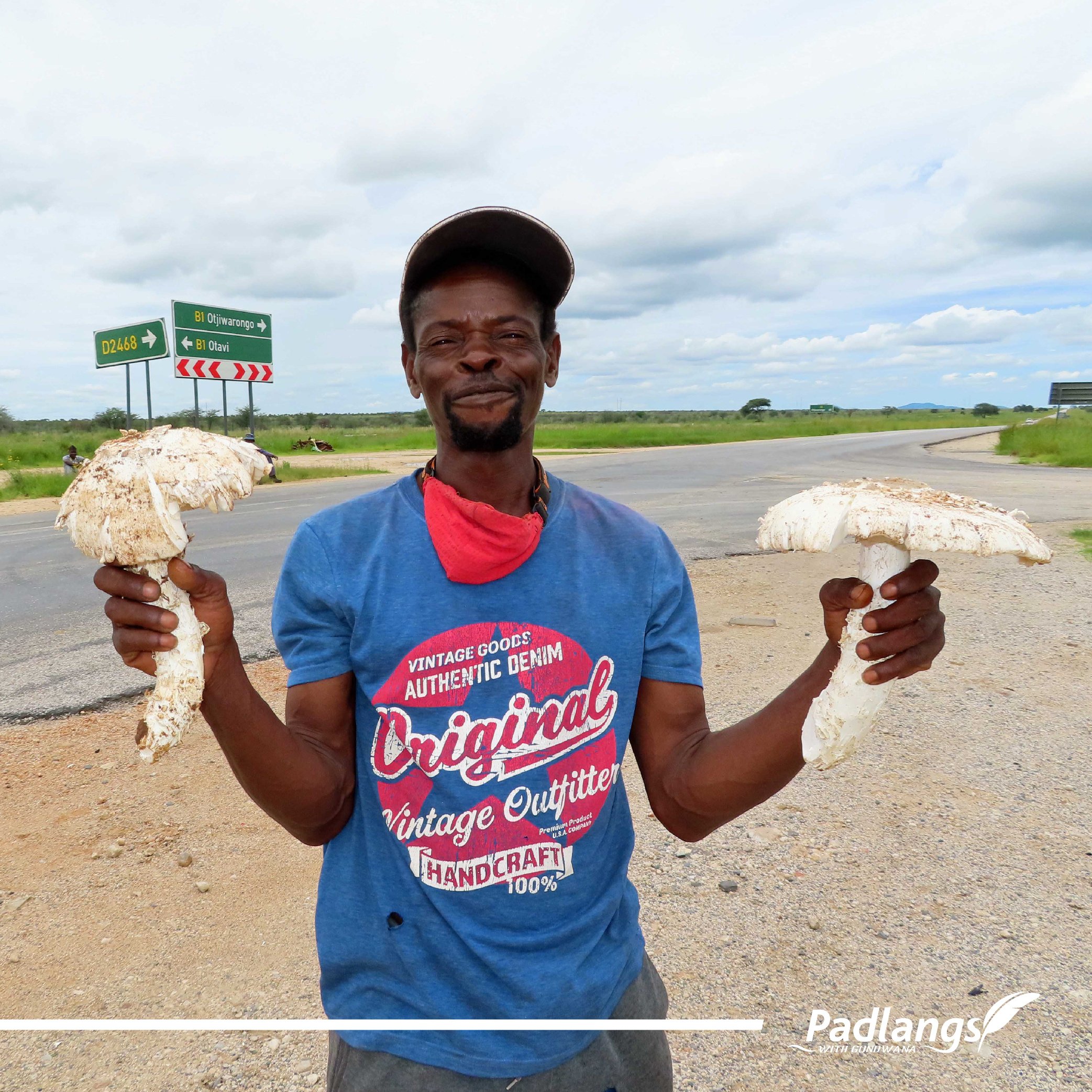 03_Feb - Omajowa - A green season treat-02