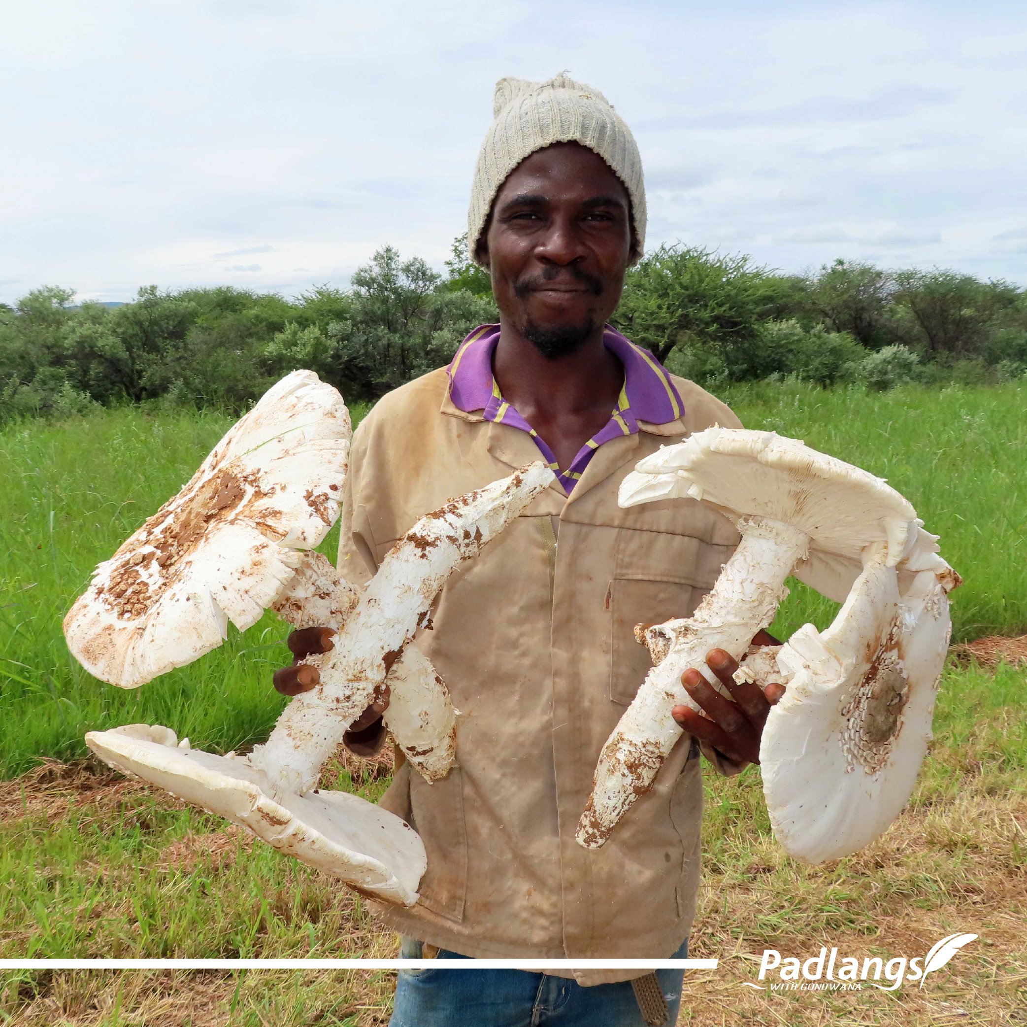 03_Feb - Omajowa - A green season treat-04