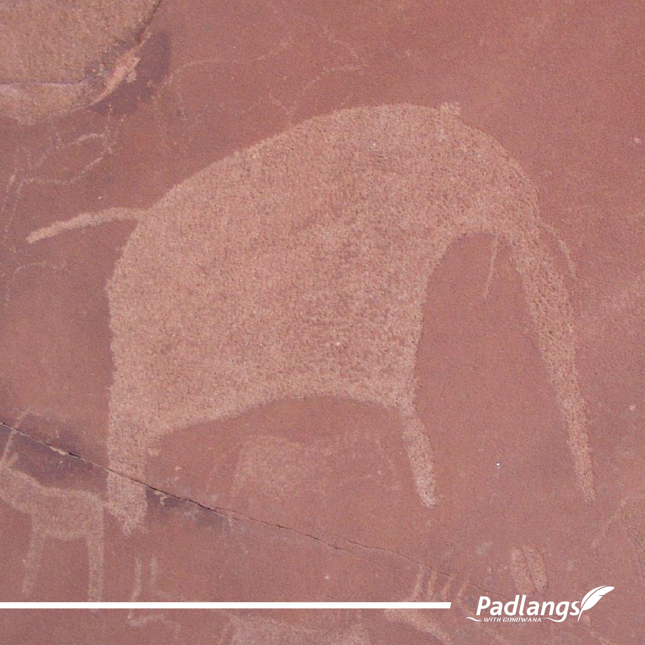 05-26-23_David Twyfelfontein Part 2-03