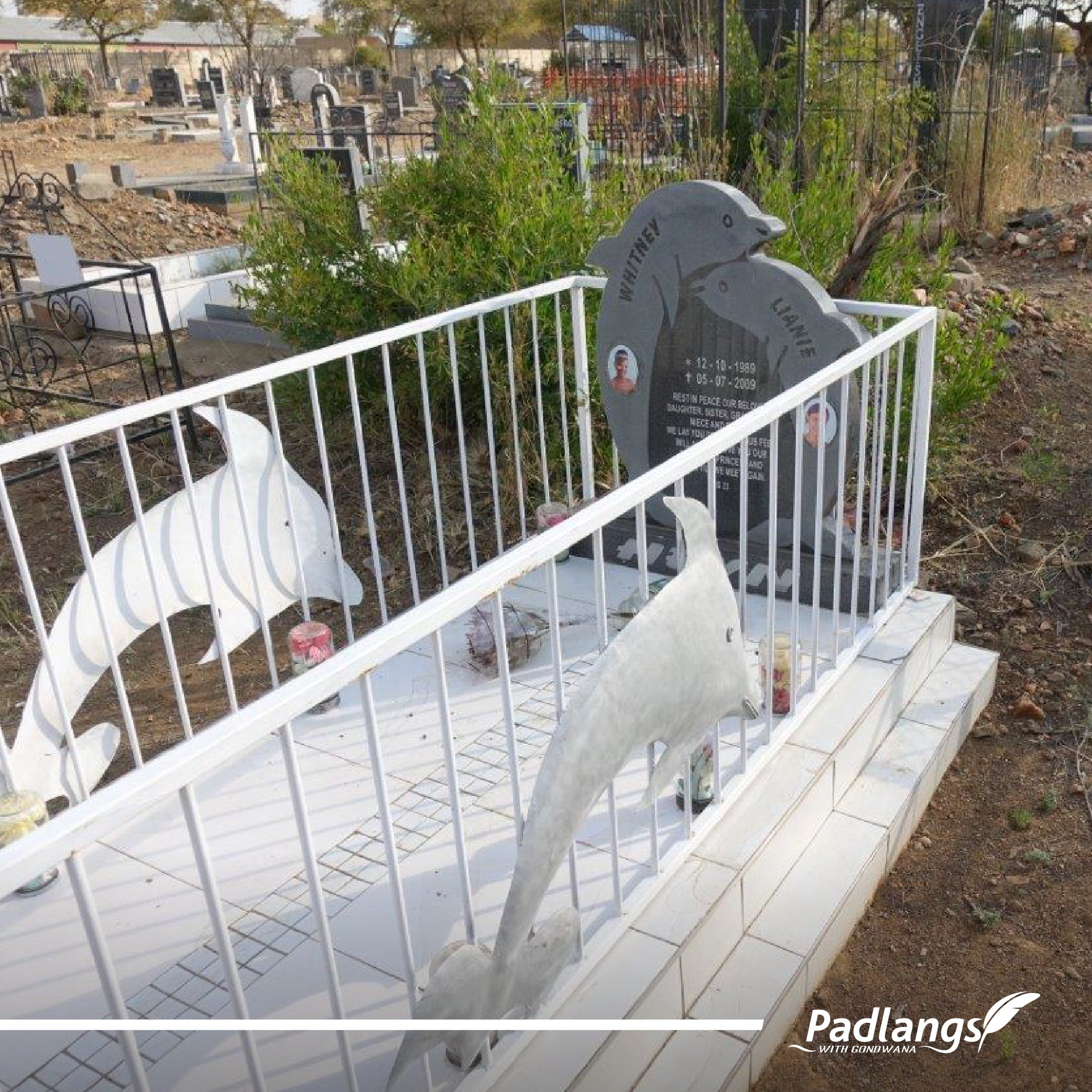 07-11-23_Grave Matters - The joyful dolphin-02