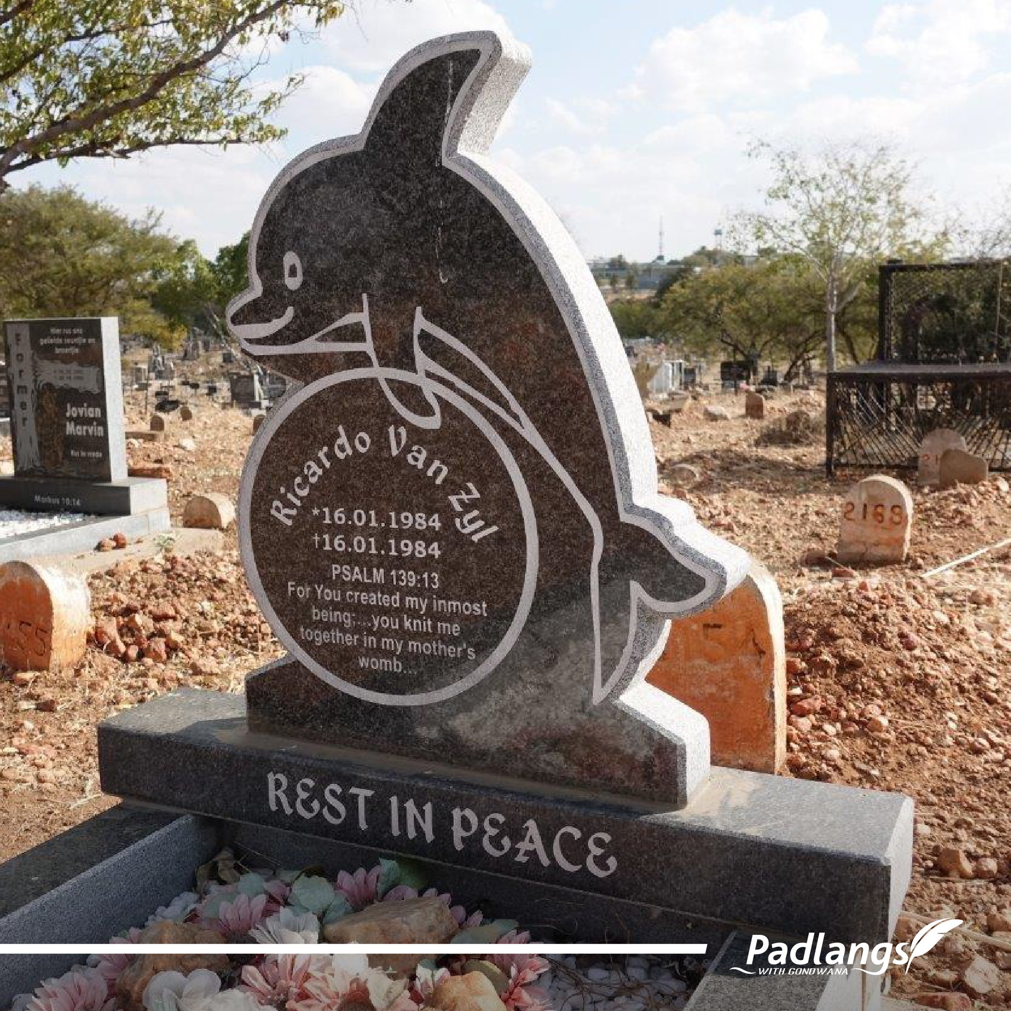 07-11-23_Grave Matters - The joyful dolphin-03