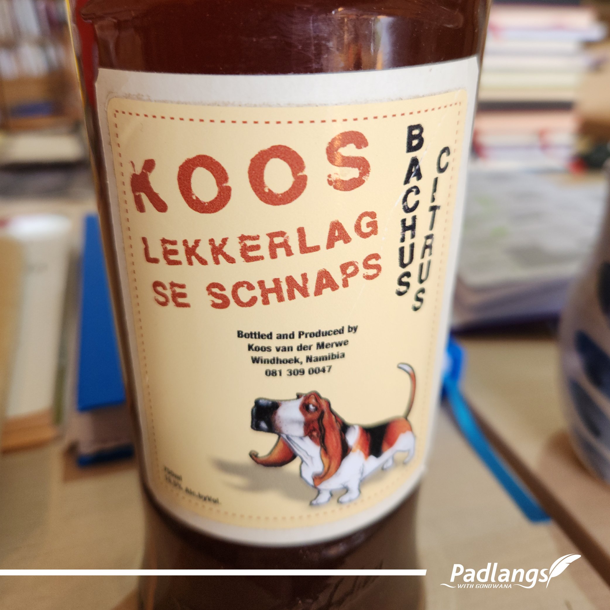 07_02_23 - What-s in a name_Lekkerrr-03