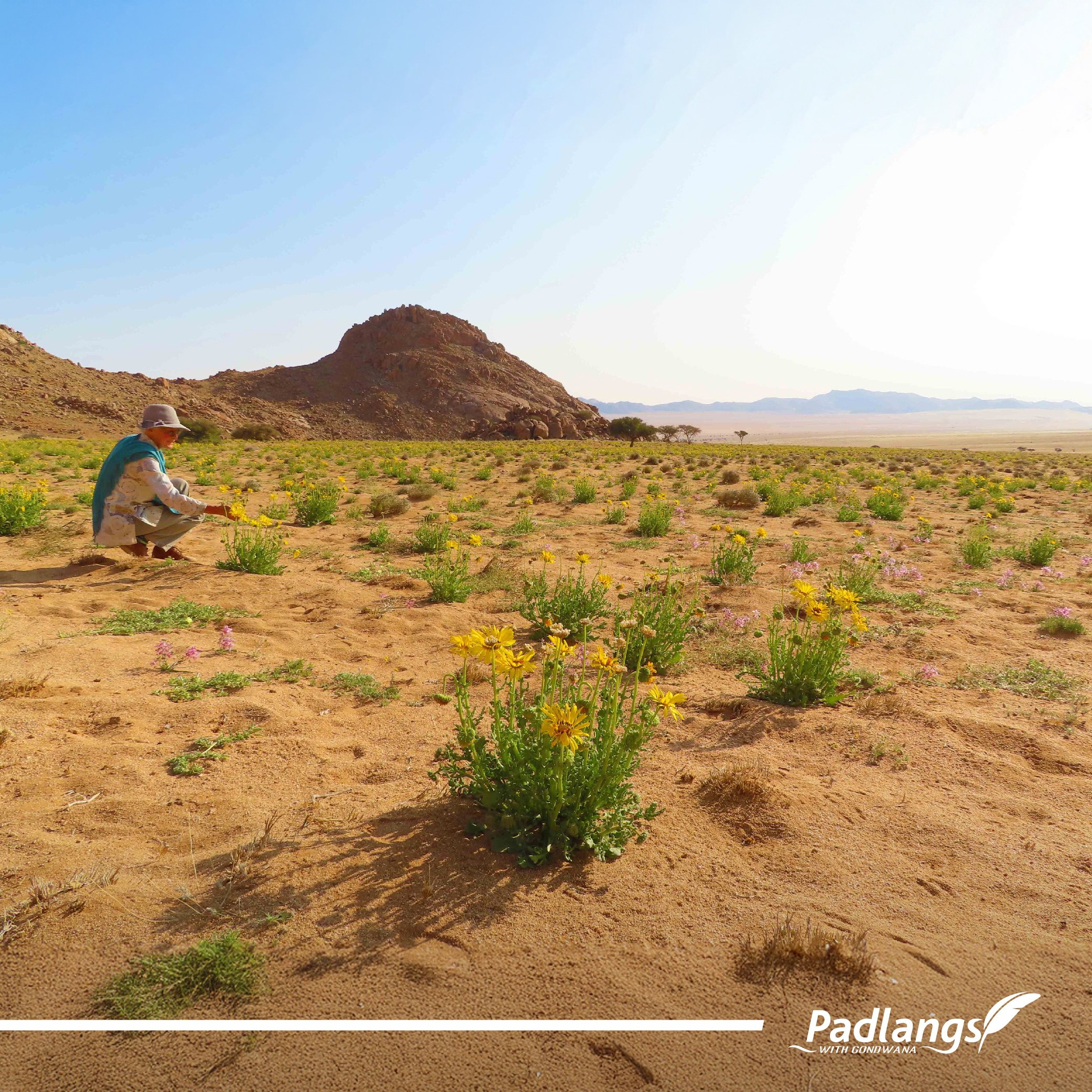 15_On the road again 5 - Diamonds, wild horses & beauty-03-1