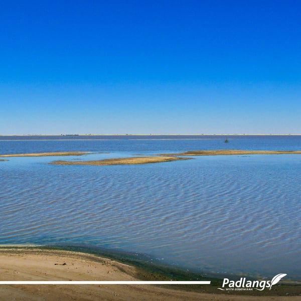 Omadhiya Wetland Complex