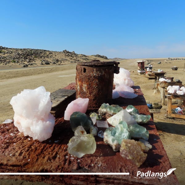 Romancing the Skeleton Coast