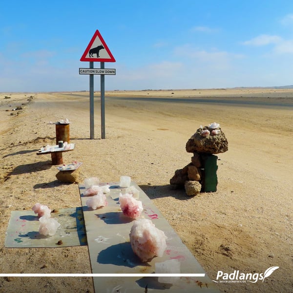 15_Romancing the Skeleton Coast-04