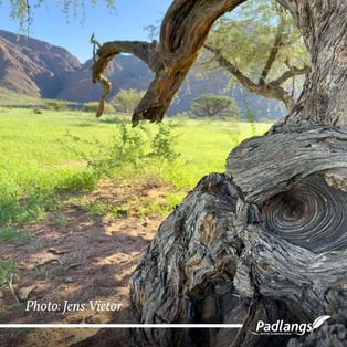 Draaihoek after rains