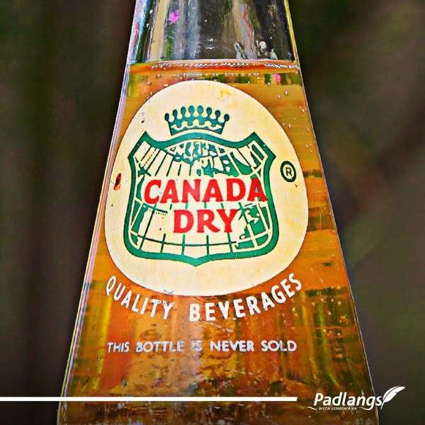 486241679_1047884170695624_3775187271761056360_n