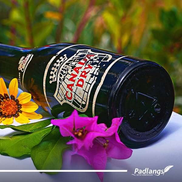 486453069_1047884540695587_3830643719004158038_n