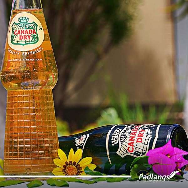 486675988_1047884454028929_2520285566418823351_n