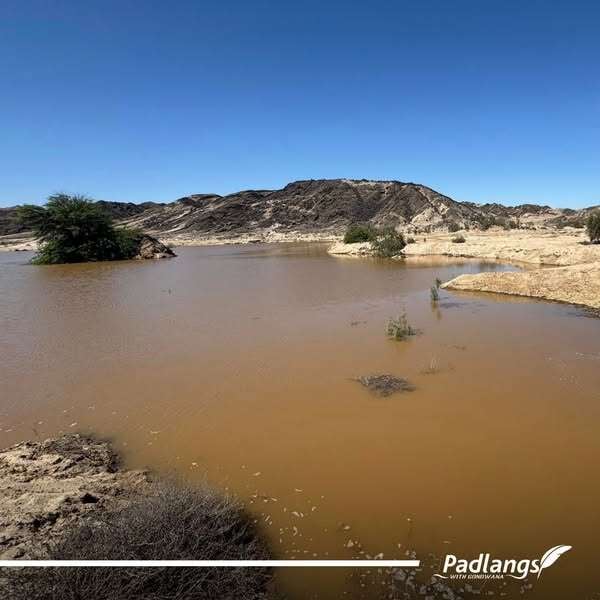 487130492_1050513030432738_1414346316242498903_n