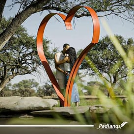 487313175_1051919680292073_5347260397451005061_n