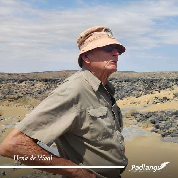 Image of Henk de Waal