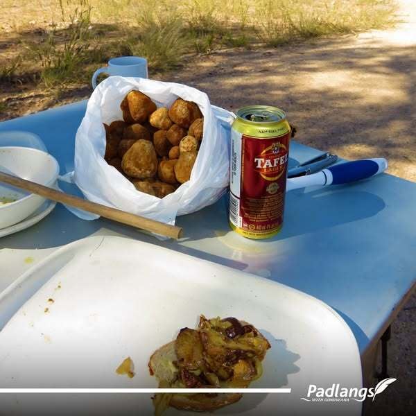 Cooked Kalahari Truffles