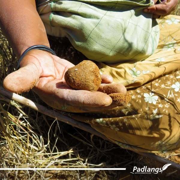 Kalahari Truffle