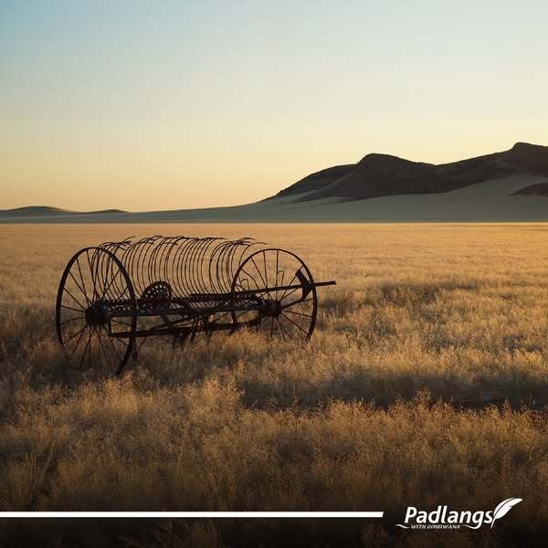 Hay Rake in Southern Namibia