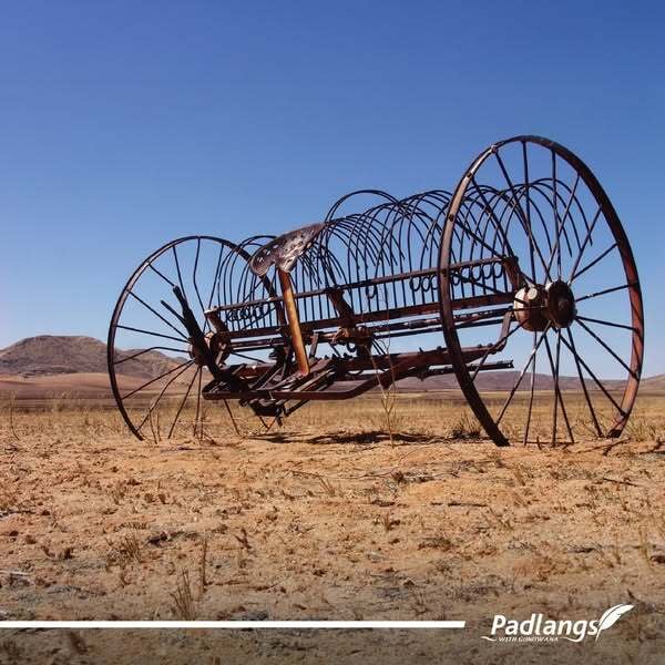 Hay Rake in Southern Namibia