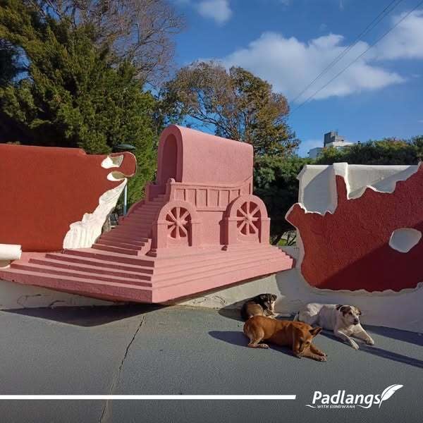 504470944_1102213975262643_6524401822350124485_n