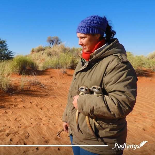 Mareli at Meerkat Sanctuary