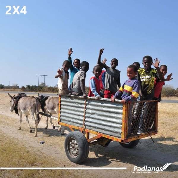 Donkey cart with 4 donkeys
