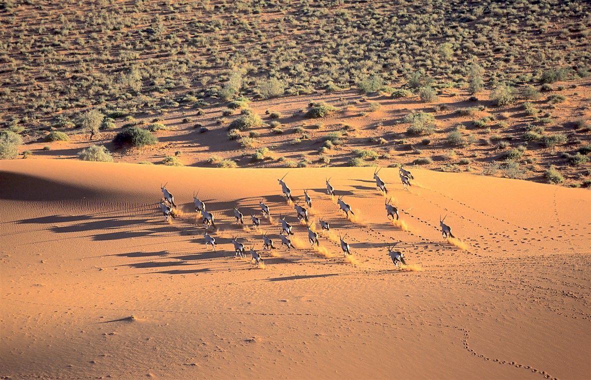 travel agency in namibia