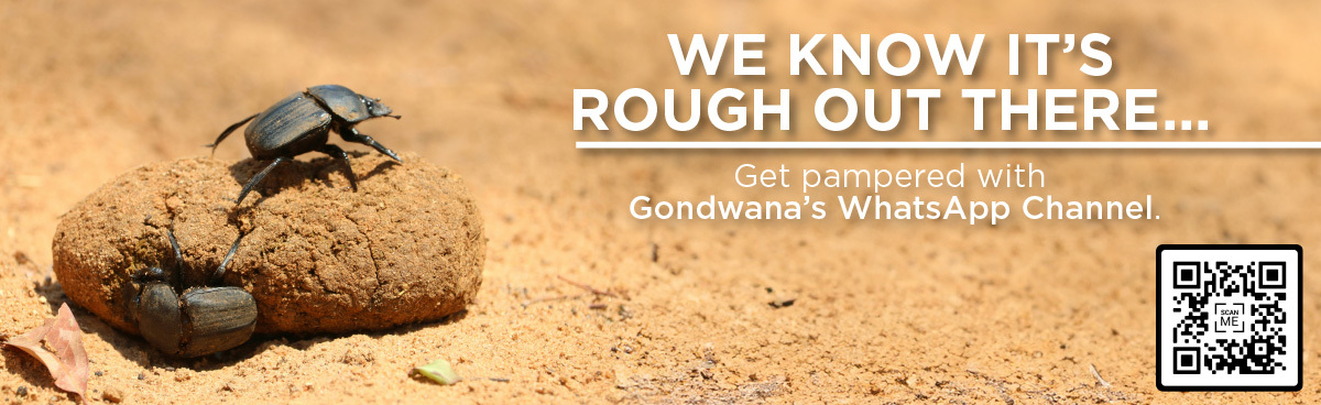 Gondwana Collection Namibia WhatsApp Deals Channel promotional banner Gondwana Collection Namibia WhatsApp Deals Channel promotional banner
