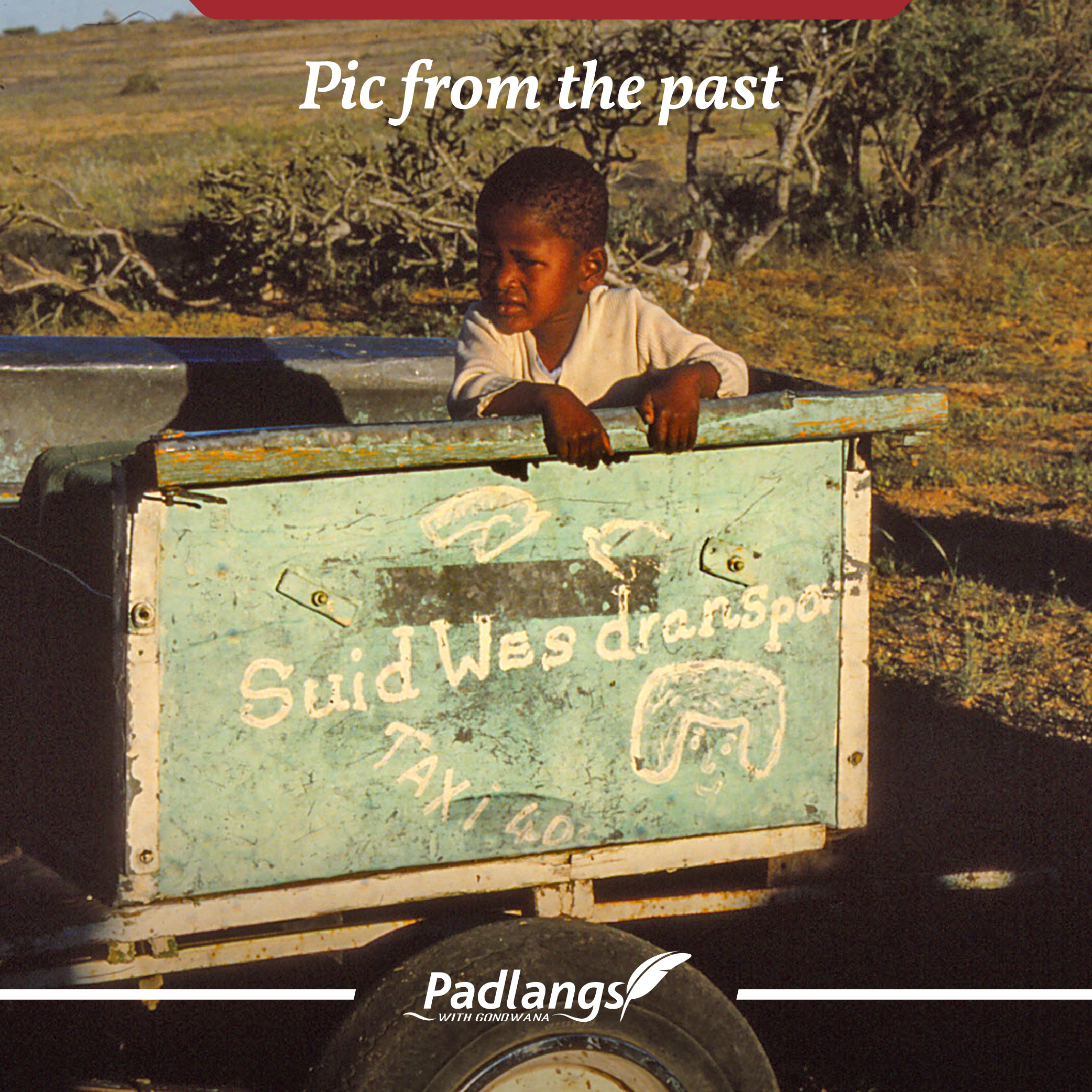 Donkey cart in Namibia 