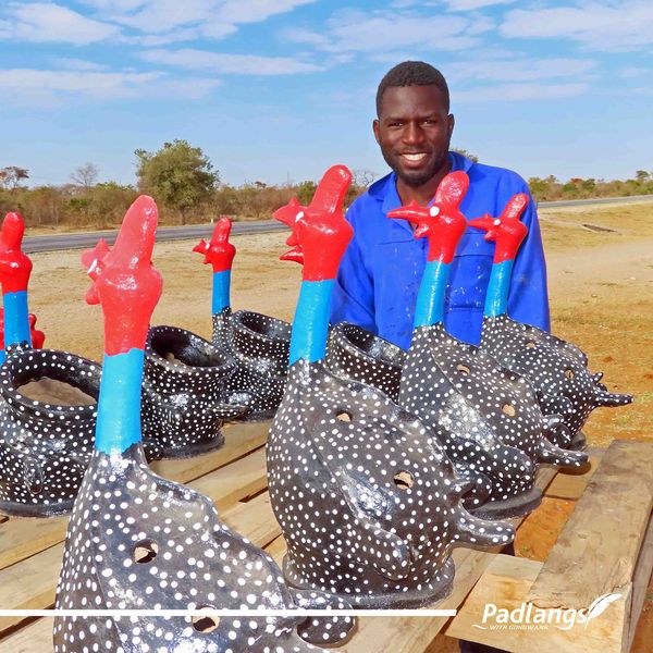 Colourful guineafowl pots, Namibia