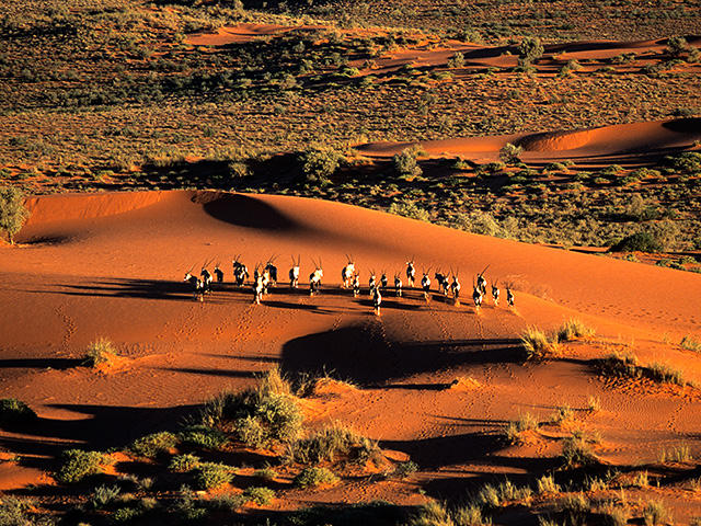 travel agency in namibia