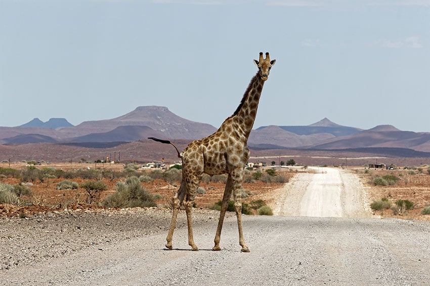 travel agency in namibia