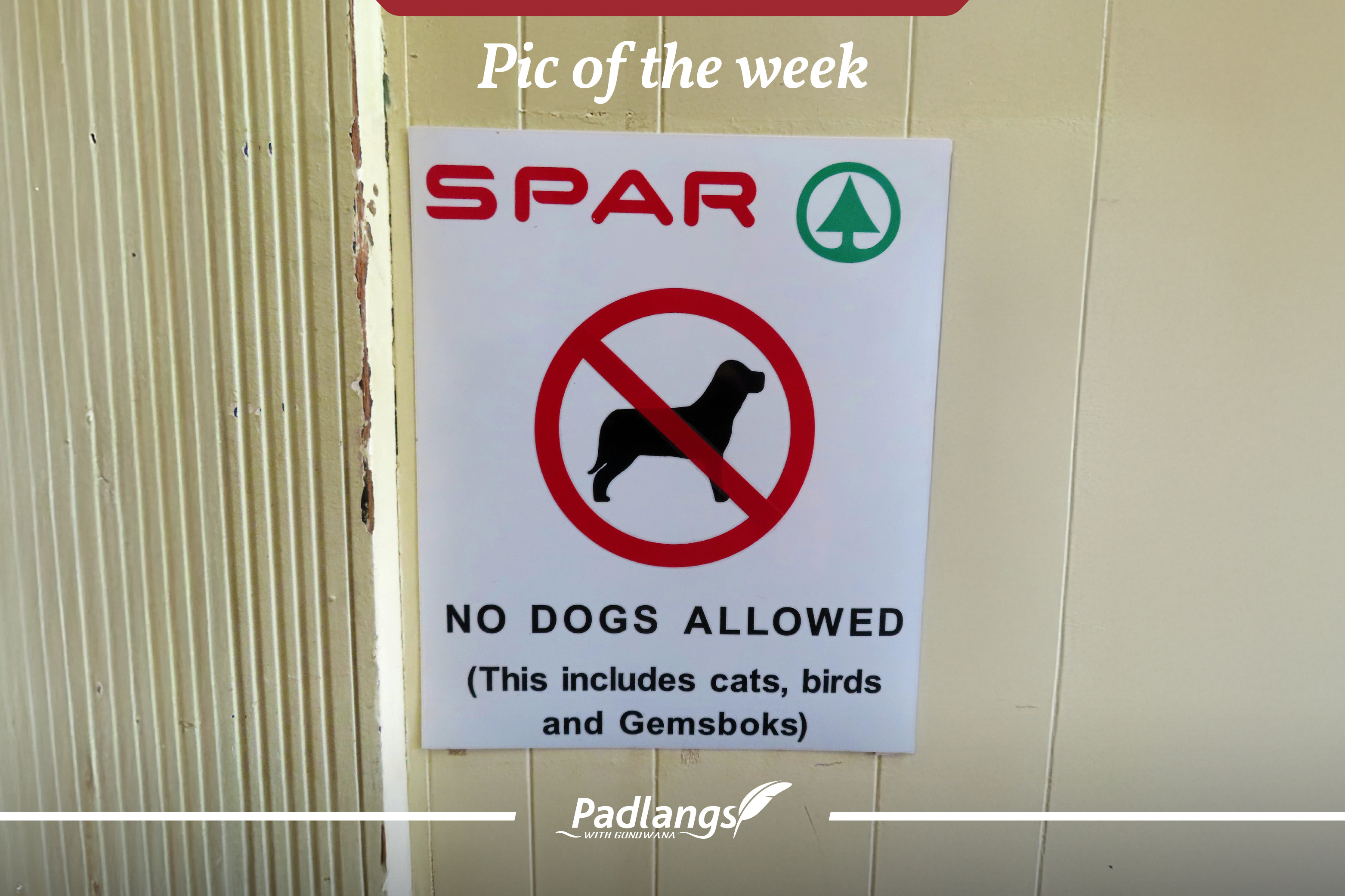 Sign: No dogs allowed, Namibia