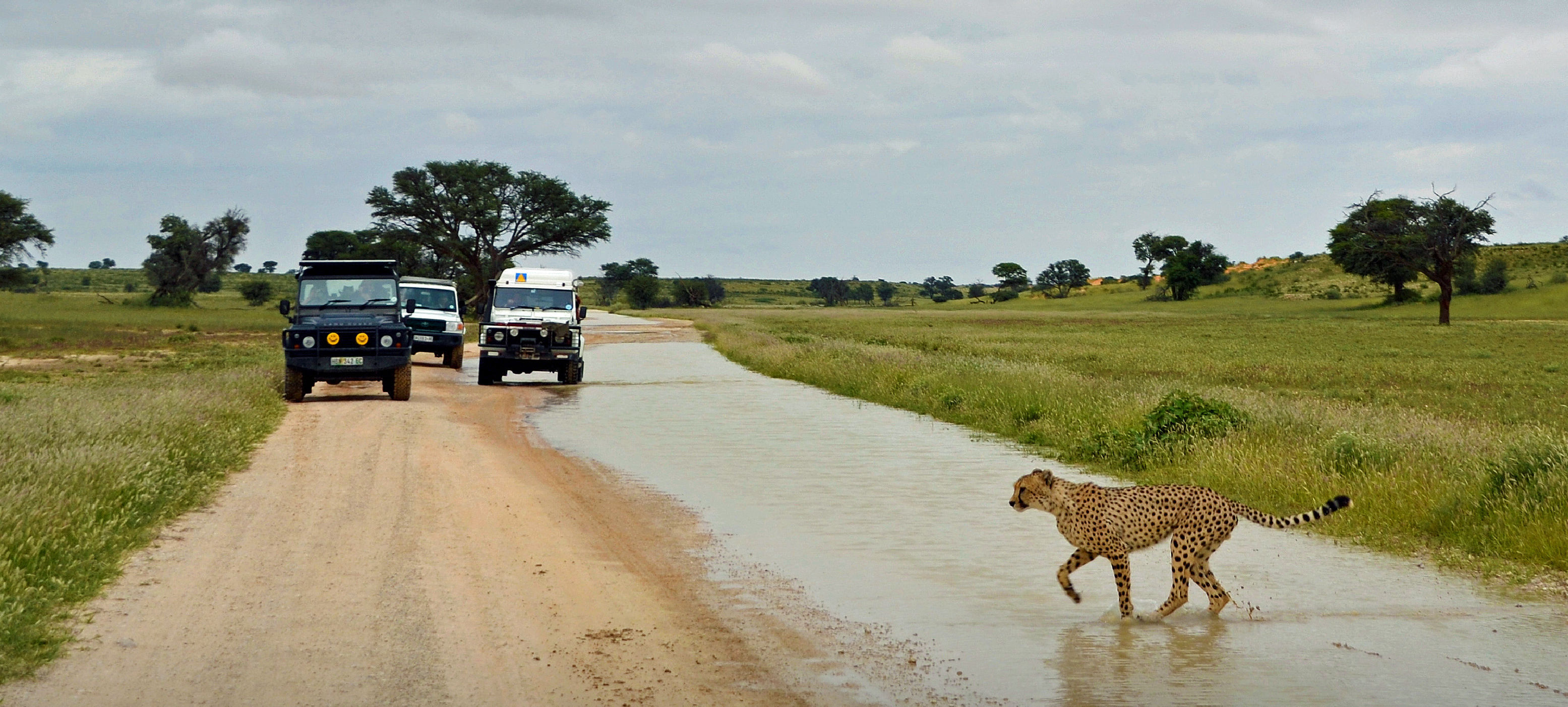 Kgalagadi stories (cont . . . ) - New beginnings, diamonds & a lost city