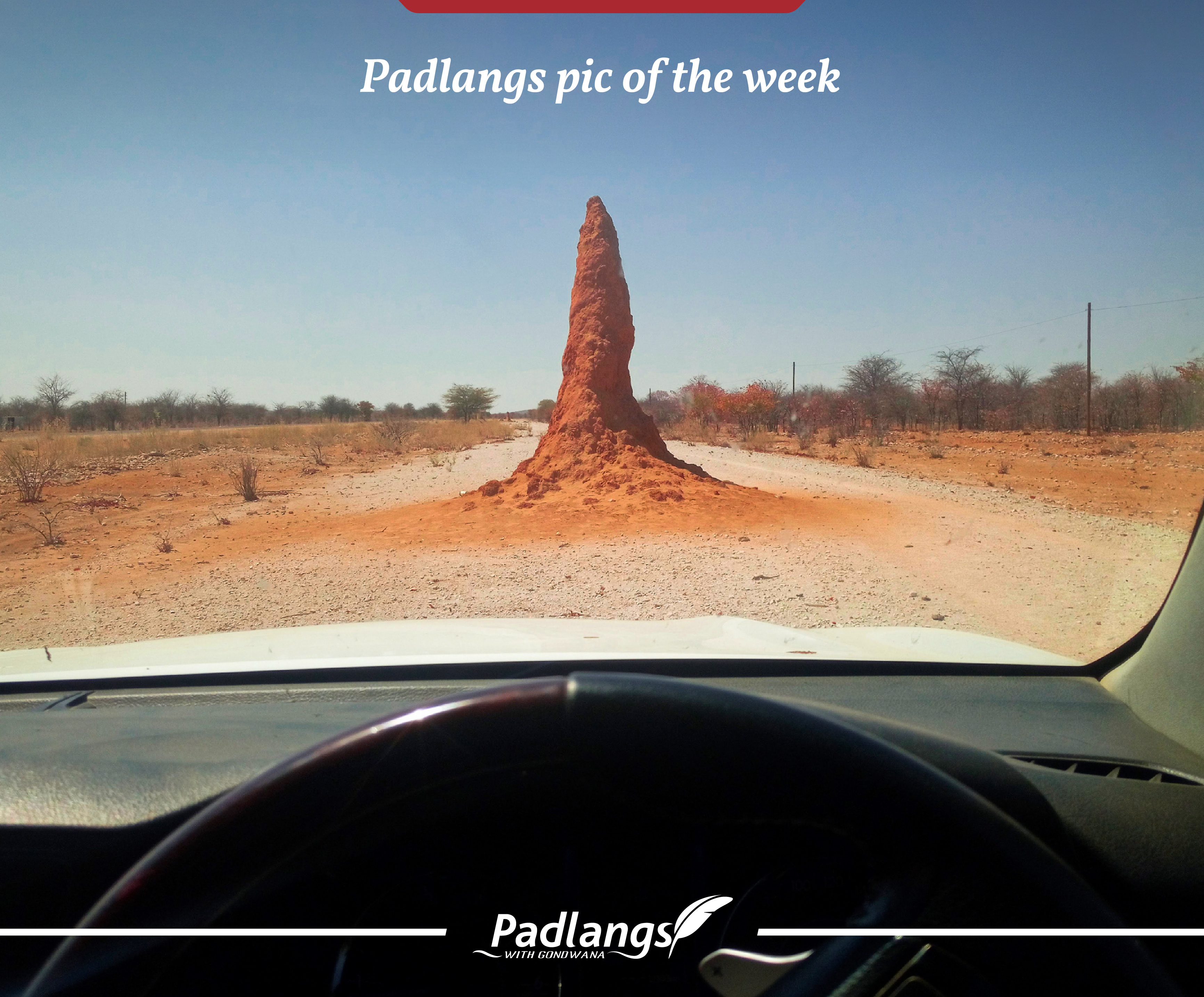Termite hill in Namibia