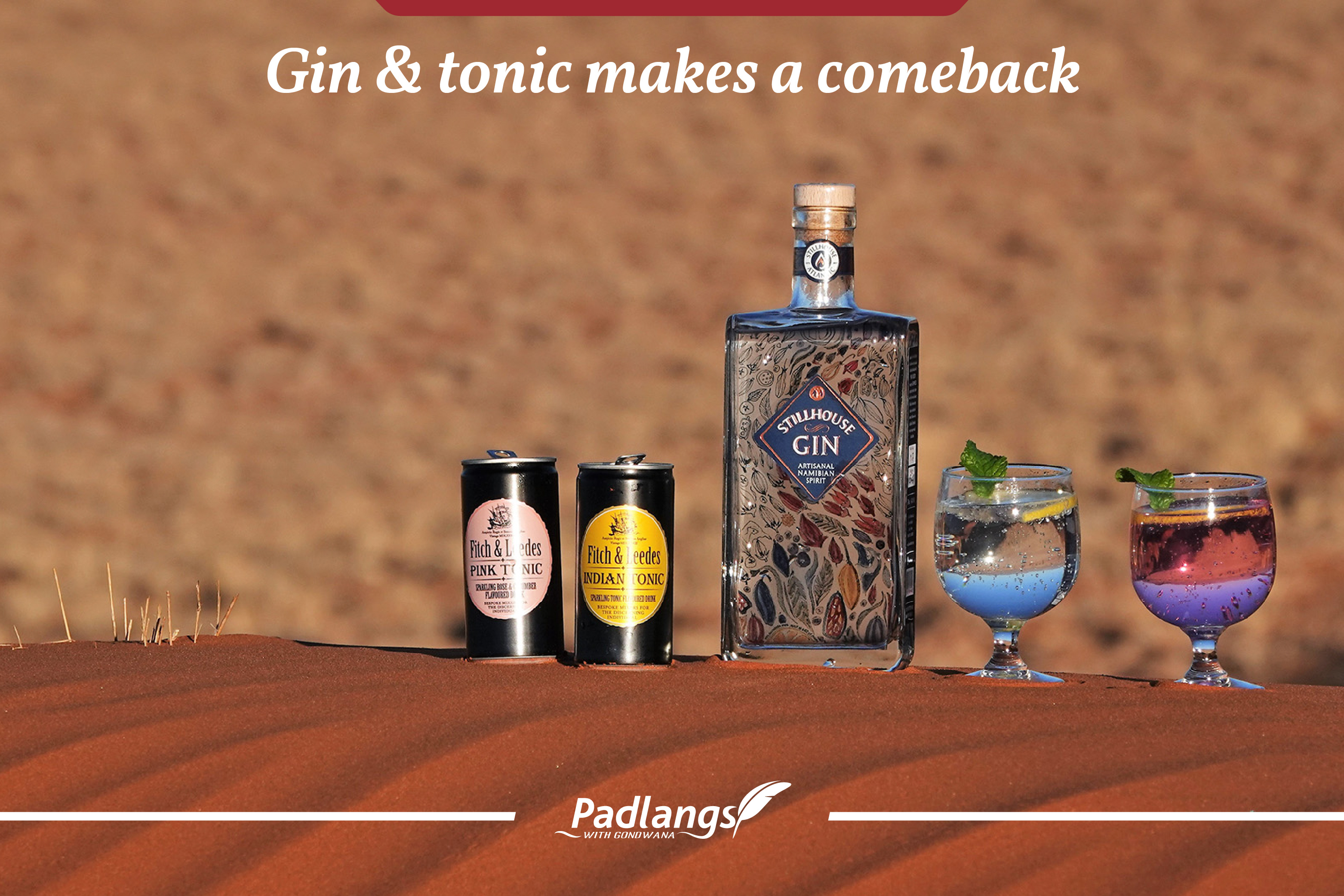 Gin-and-tonic-makes-a-comeback