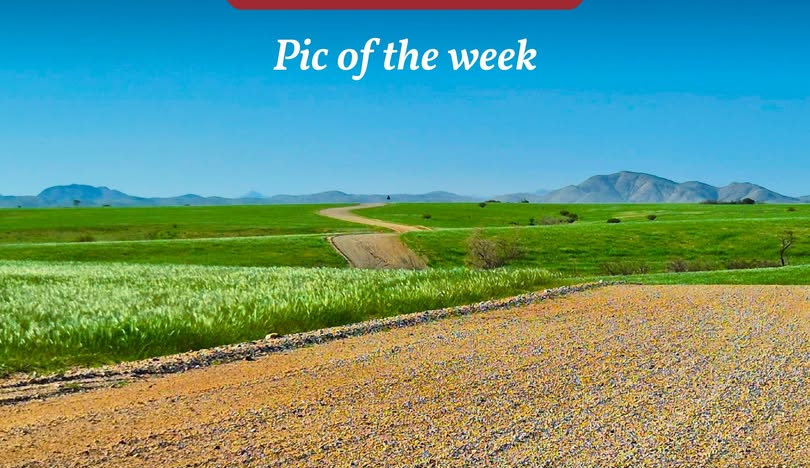 South of Puros in north-western Namibia