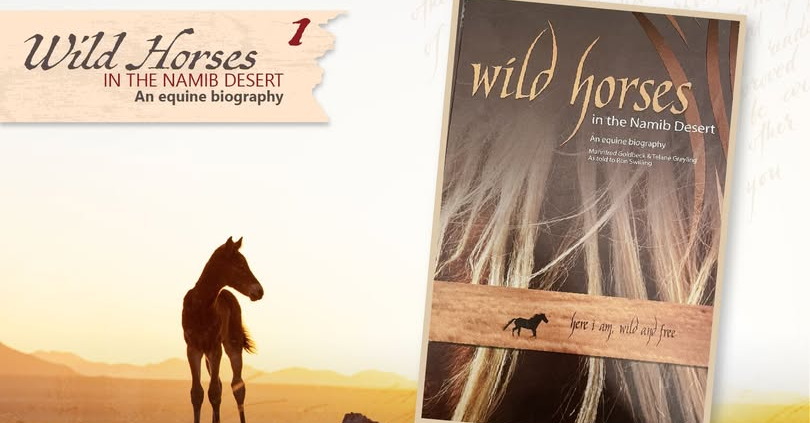 Wild horses of the Namib