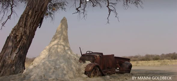 Termite hills in Northern Namibia