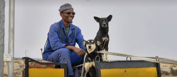 Donkey Carts in Namibia