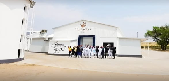 'n Fees vir vleiseters