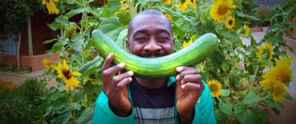 Green Fingers at Damara Mopane Lodge
