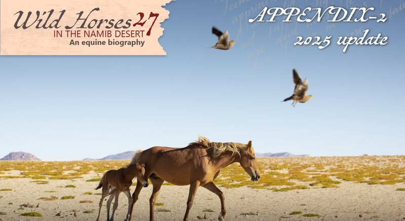 Wild horses in the Namib Desert,