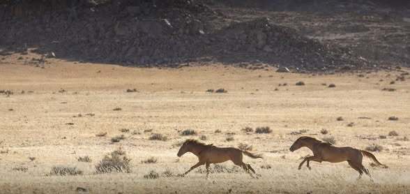 Namibie