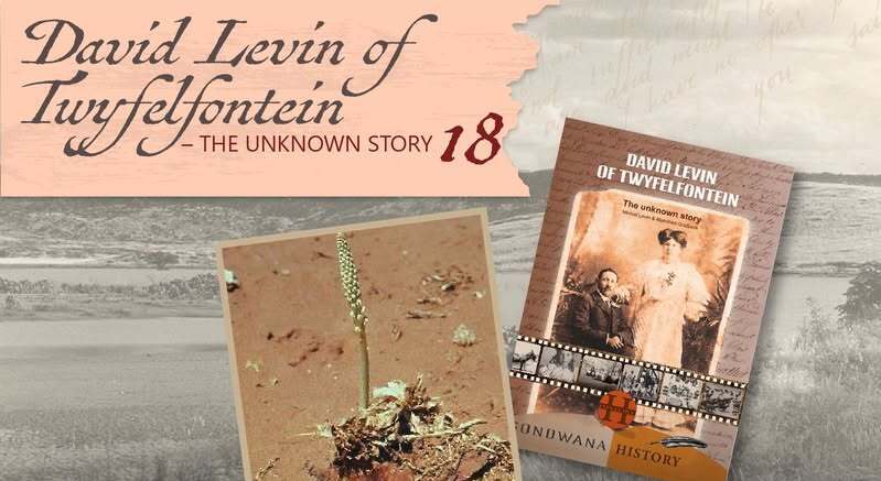 David Levin and the origins of Twyfelfontein