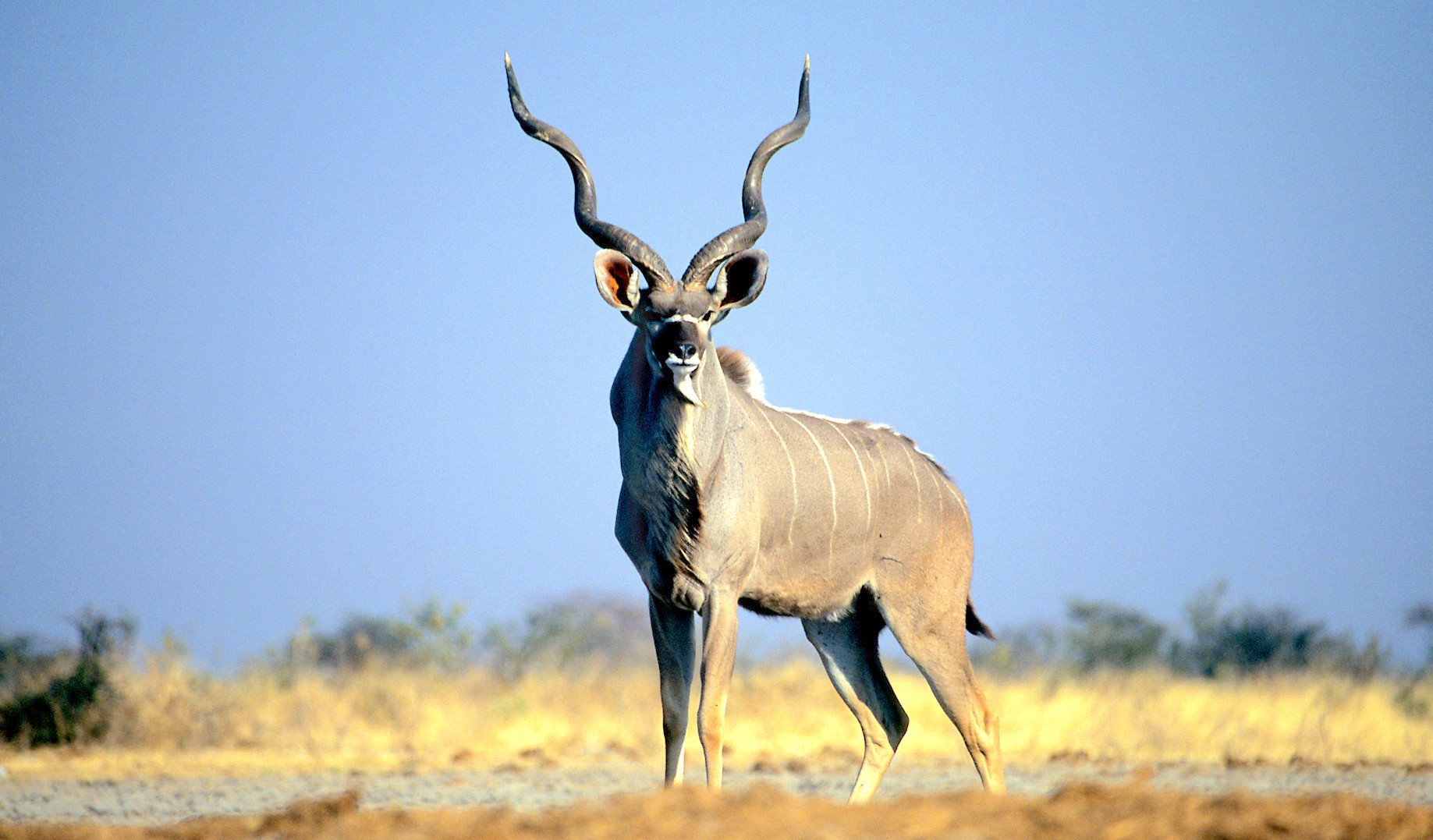 travel agency in namibia