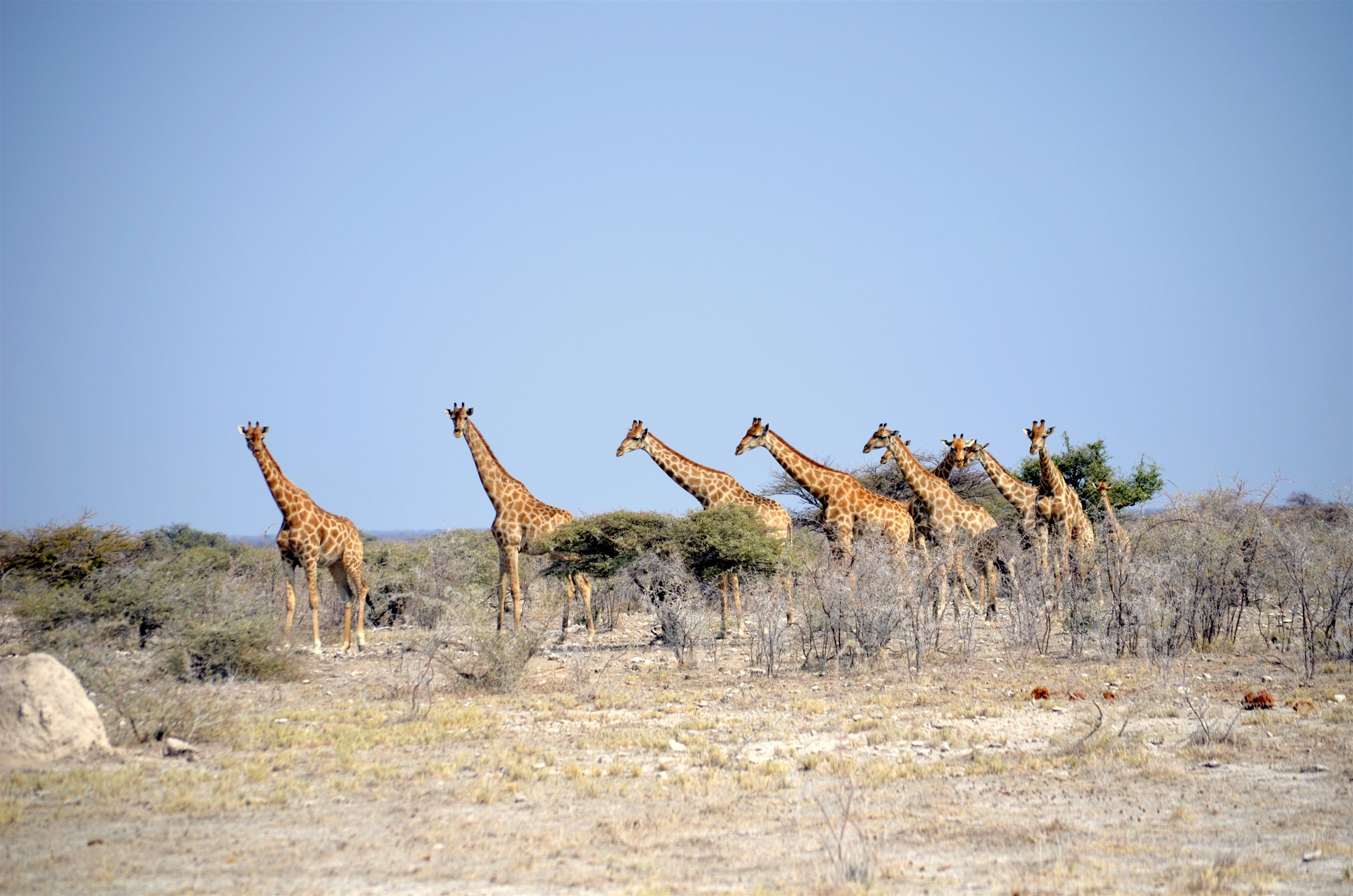 travel agency in namibia