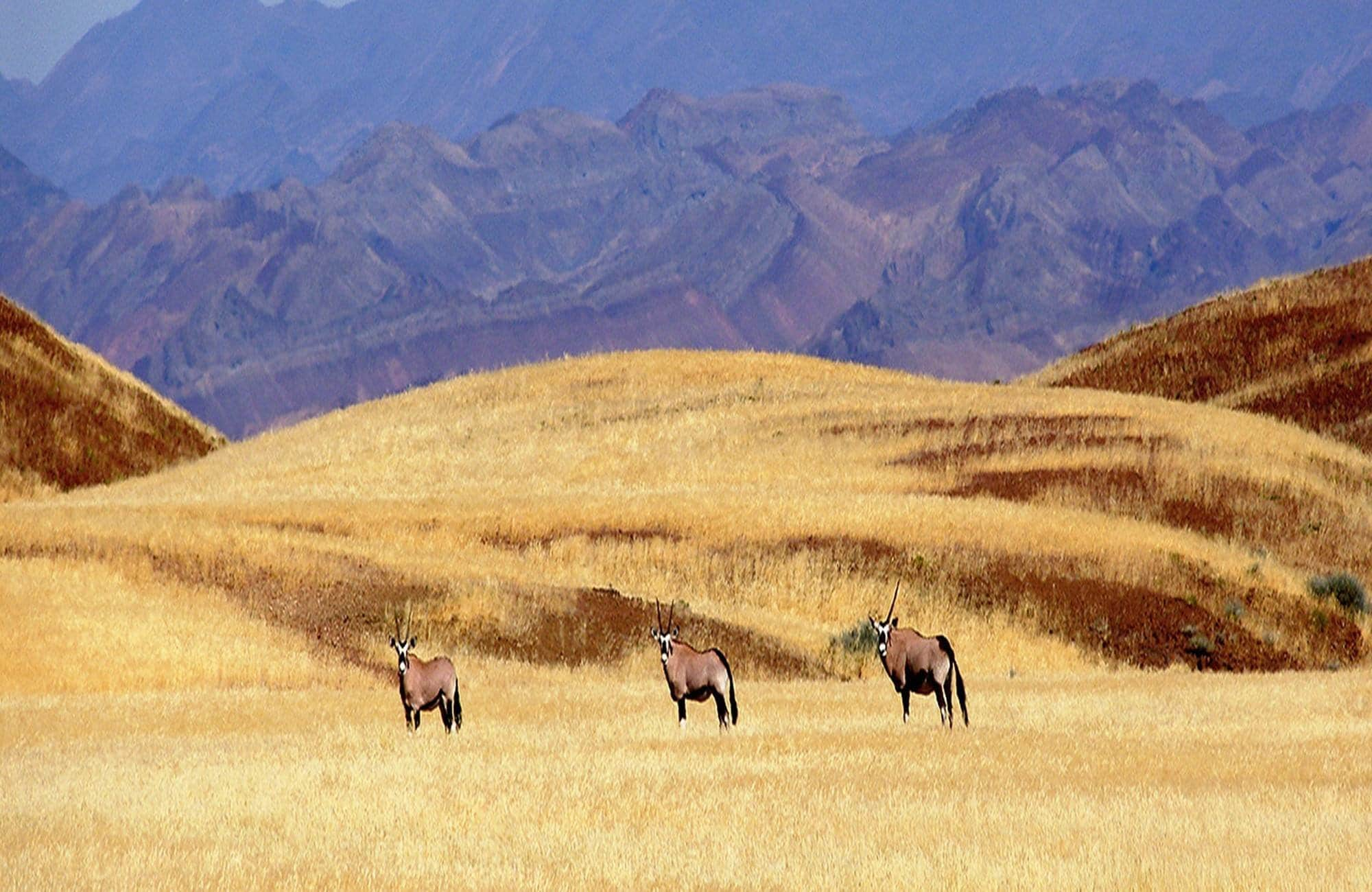 travel agency in namibia