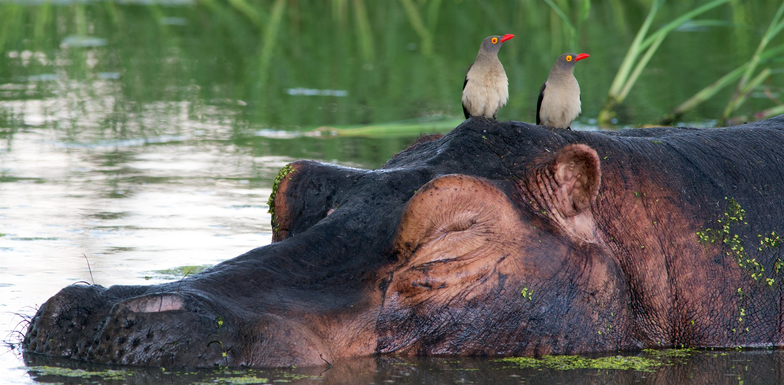 tourism companies in namibia