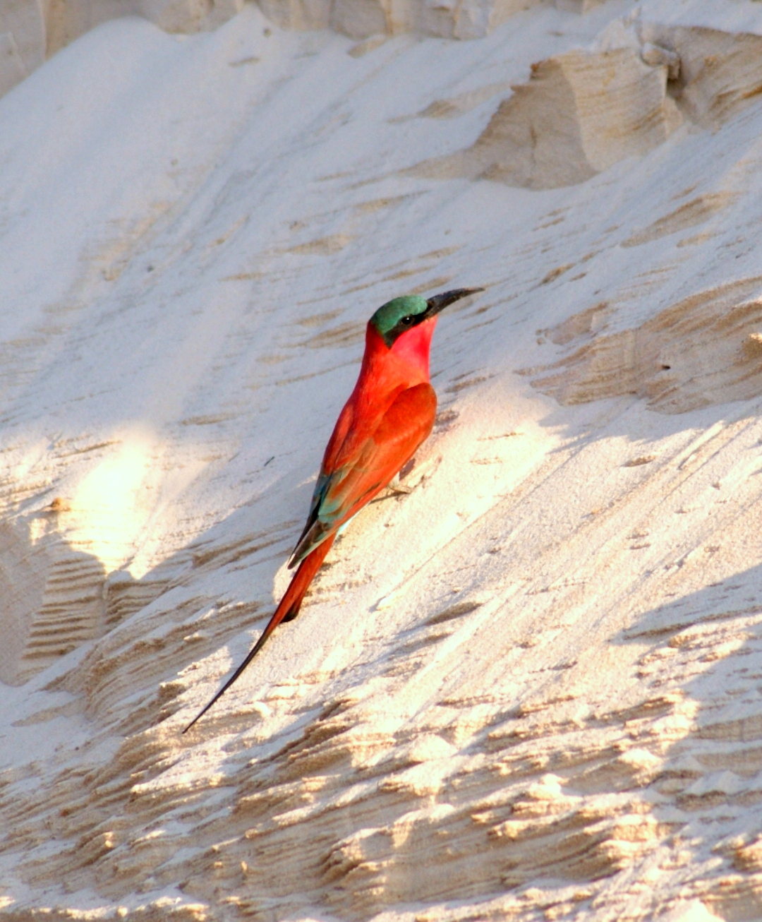 travel agency in namibia