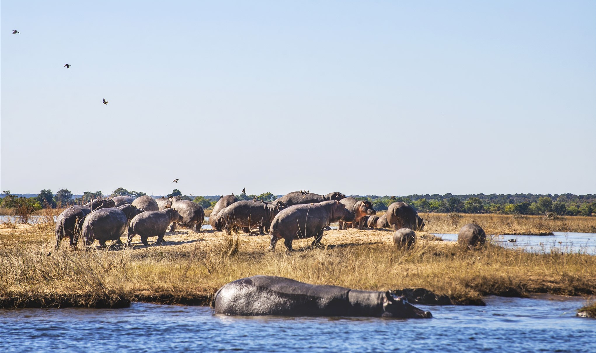 travel agency in namibia