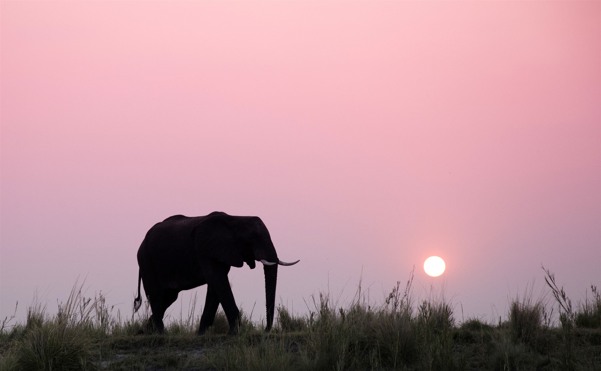 travel agency in namibia